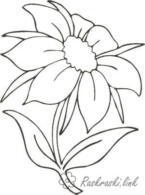 Розмальовки Радянські розмальовки Розмальовка цветик семицветик