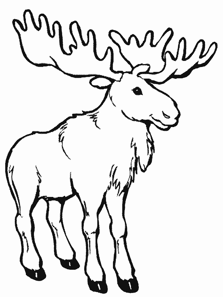 Розмальовки дитяча Дитяча розфарбування лісові тварини, олень