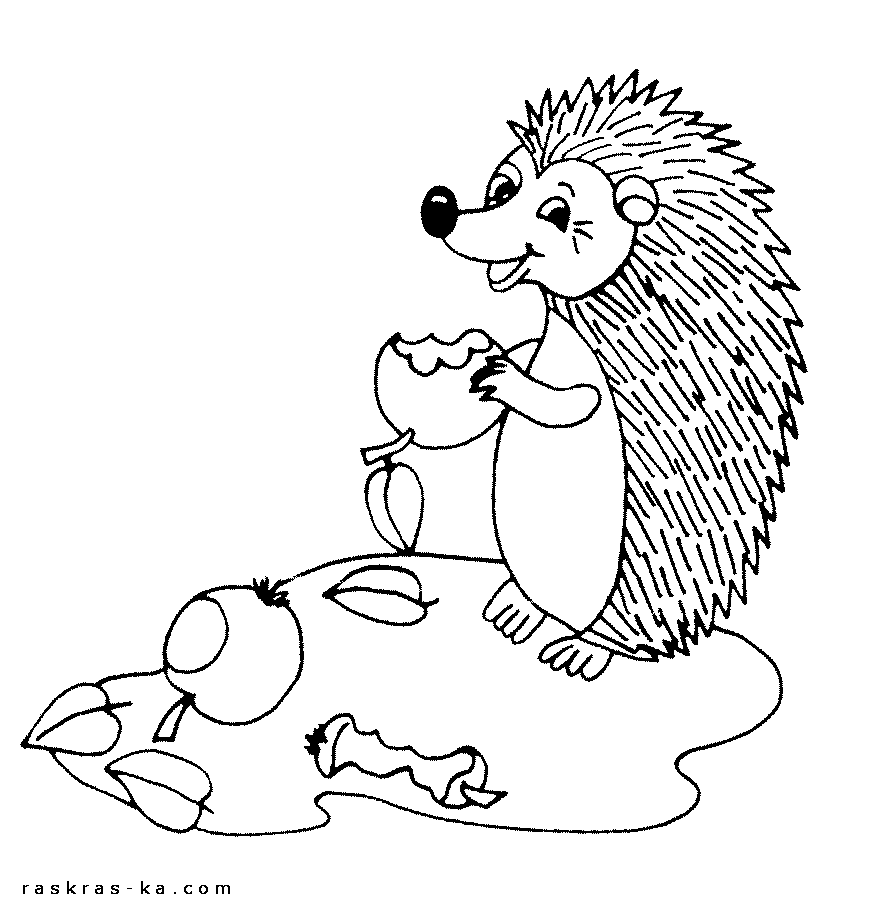 Розмальовки дитяча Дитяча розфарбування, лісові тварини, їжачок