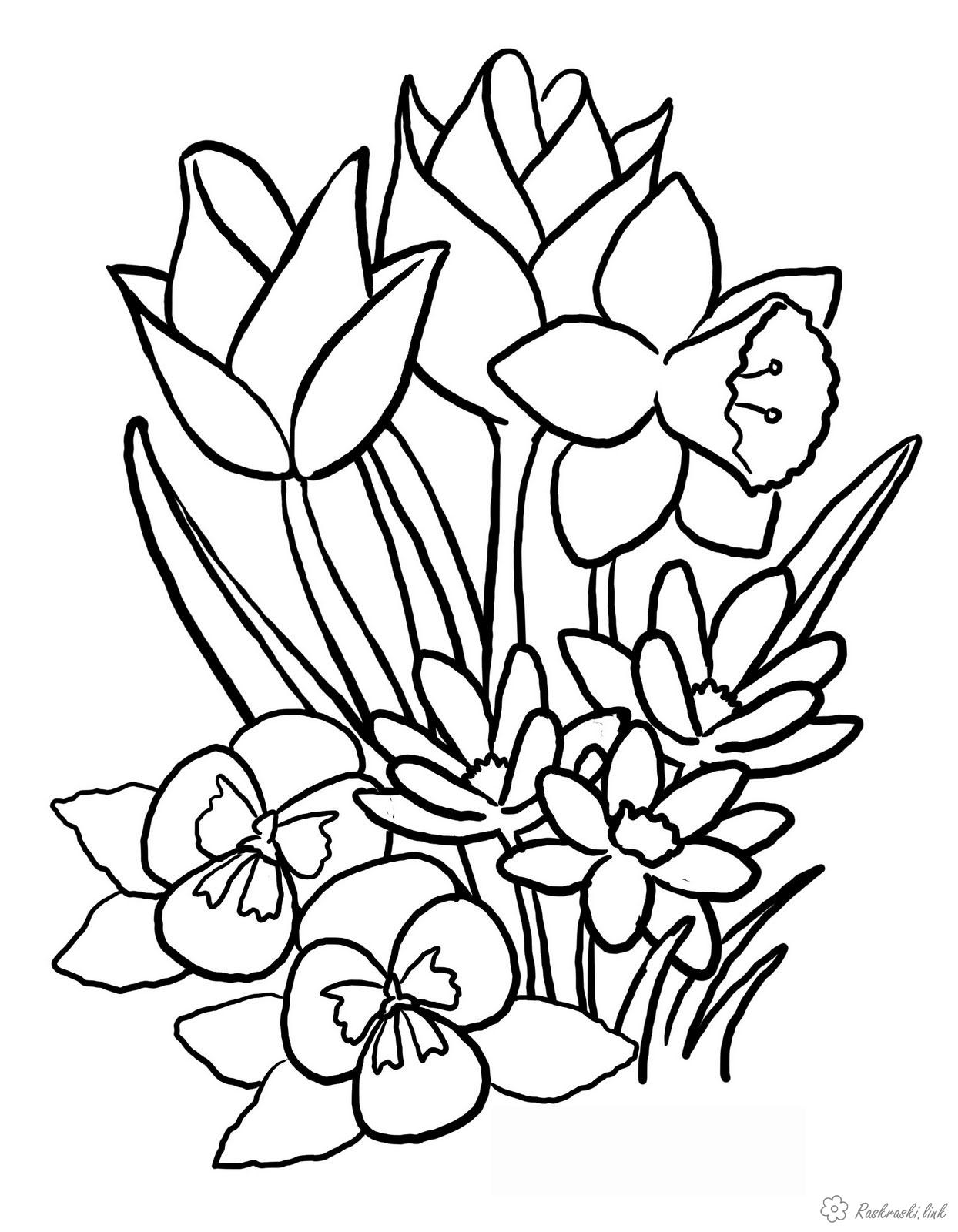 Раскраски Растения Детская раскраска растения,  цветы