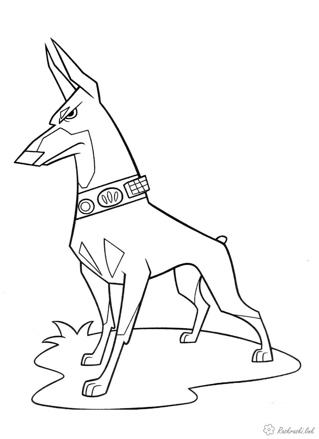 Розмальовки мультфільми Розмальовка пес мисливець Альфа