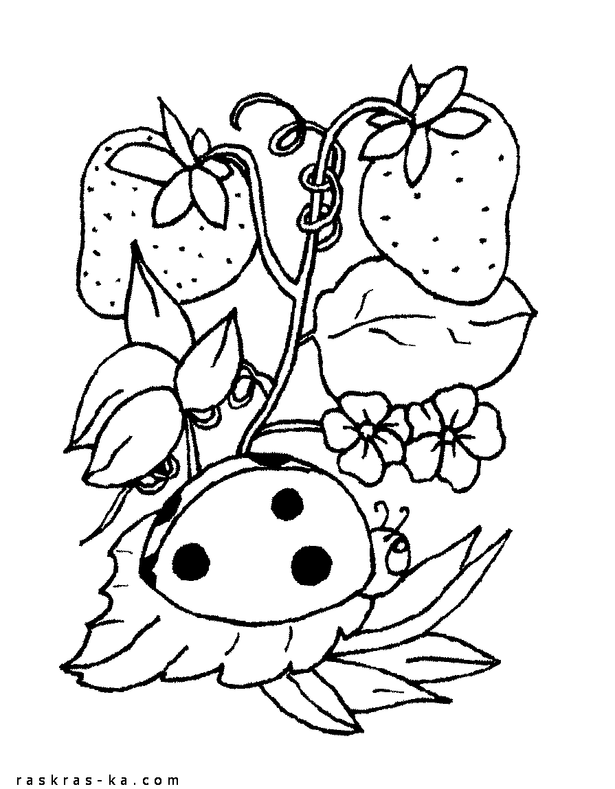 Розмальовки Рослини Дитяча розфарбування рослини, суниця, квіточки, сонечко