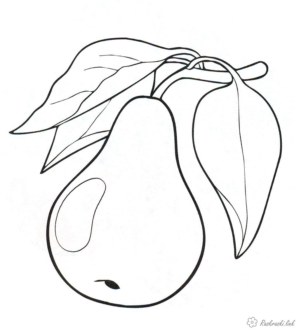 Розмальовки груша Дитяча розфарбування рослини груша