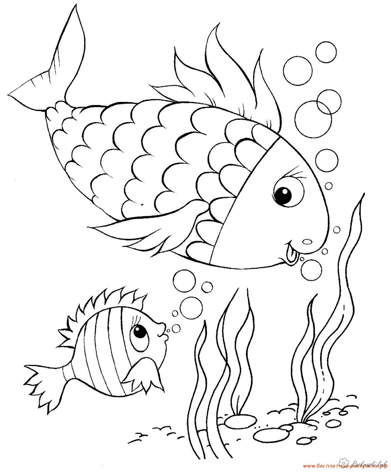 Раскраски Подводный мир Детская раскраска подводный мир рыб