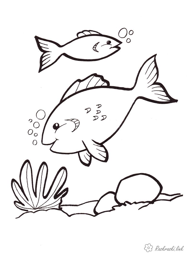 Розмальовки дитяча Дитяча розфарбування підводний світ, риби, водорості