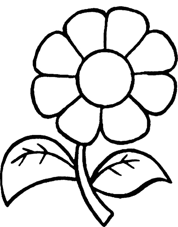 Розмальовки прості розфарбування квітка