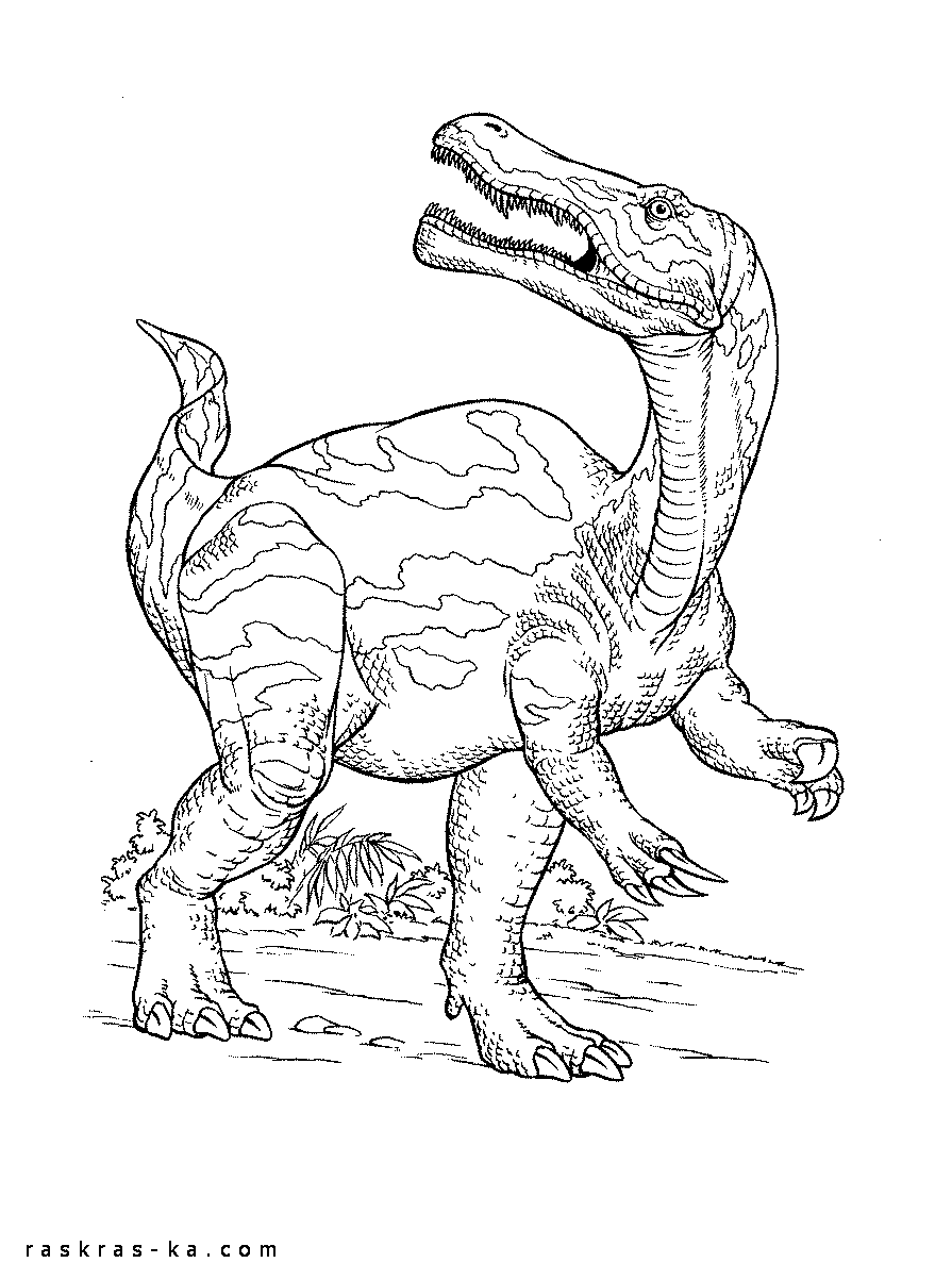 Розмальовки стародавні Дитяча розфарбування стародавні рептилії, динозаври