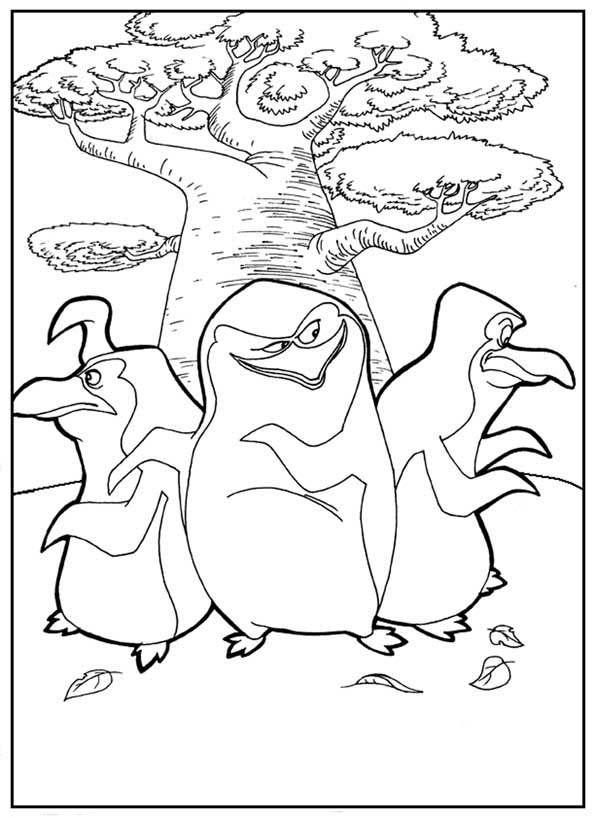 Розмальовки Пінгвіни Мадагаскару розмальовки мультфільми, розмальовки Пінгвіни Мадагаскару, пінгвіни