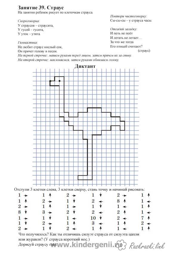 Розмальовки Графічний диктант графічний диктант страус