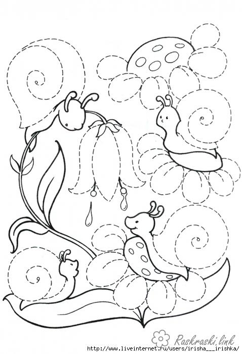 Розмальовки равлики домалюй і розфарбуй, квіти, равлики