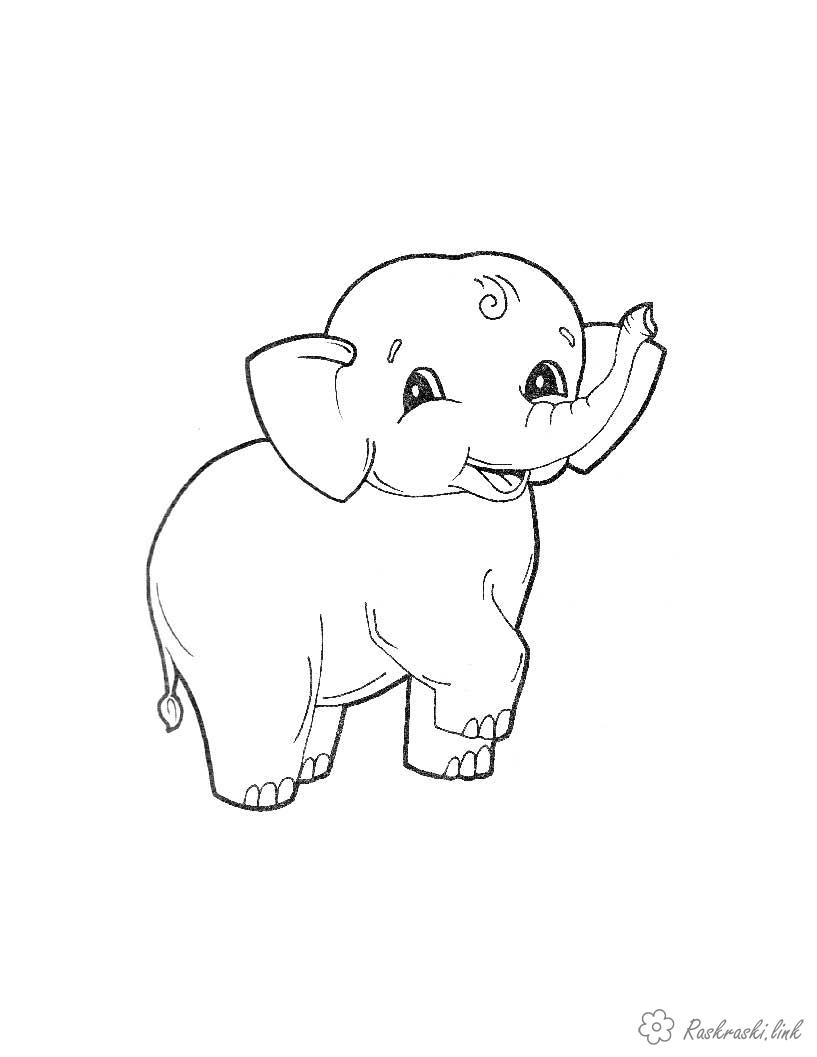 Розмальовки Лісові тварини слоненя