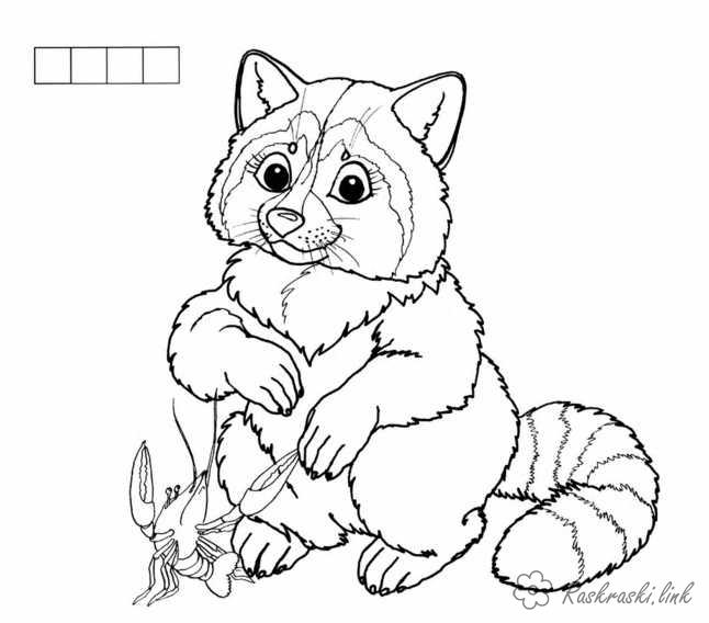 Розмальовки Лісові тварини лисиця