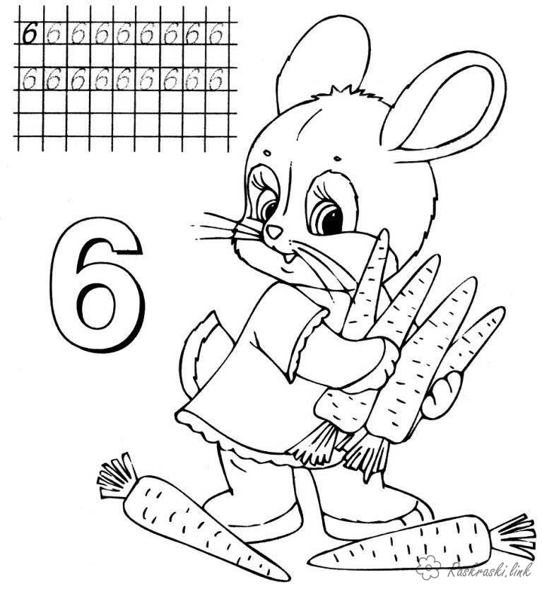 Розмальовки Вчимо цифри Мишеня тримає морквини, вчимо цифри, цифра шостій пропис, розфарбування