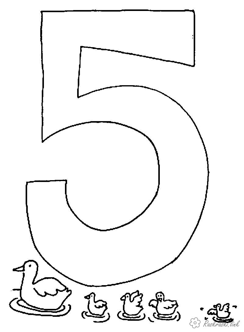 Розмальовки п'ять вчимо цифри качка і каченята
