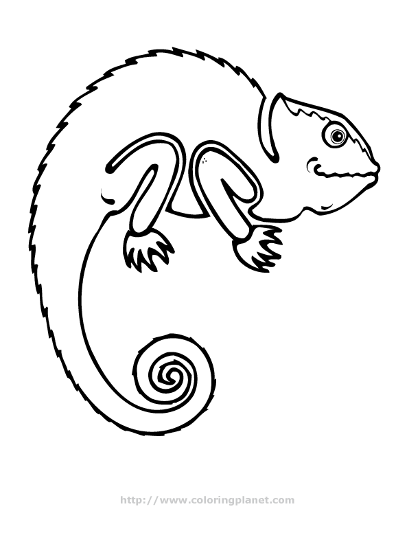 Розмальовки Рептилії розфарбування хамелеон