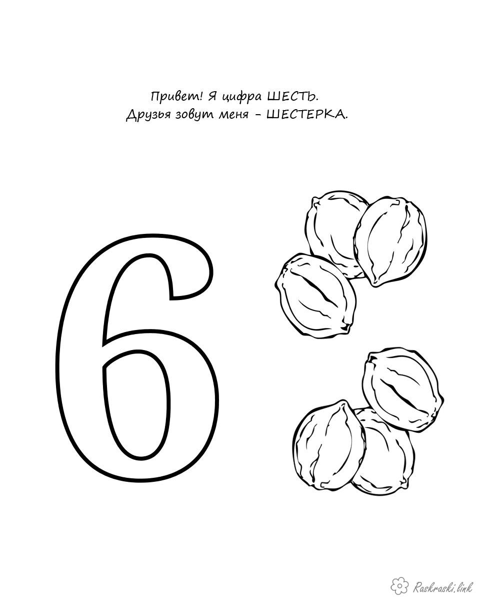 Розмальовки Вчимо цифри вчимо цифри розмальовки шостій горіхів