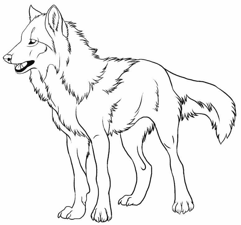 Розмальовки вовки розмальовки, для дітей, вовки, лісові звірі