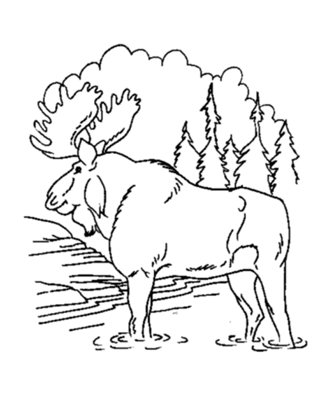 Розмальовки Лісові тварини Розмальовки для дітей, звірі, вода, лось, тварини