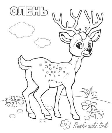 Раскраски Лесные животные раскраски животных, пятнистый олень, лес, для детей