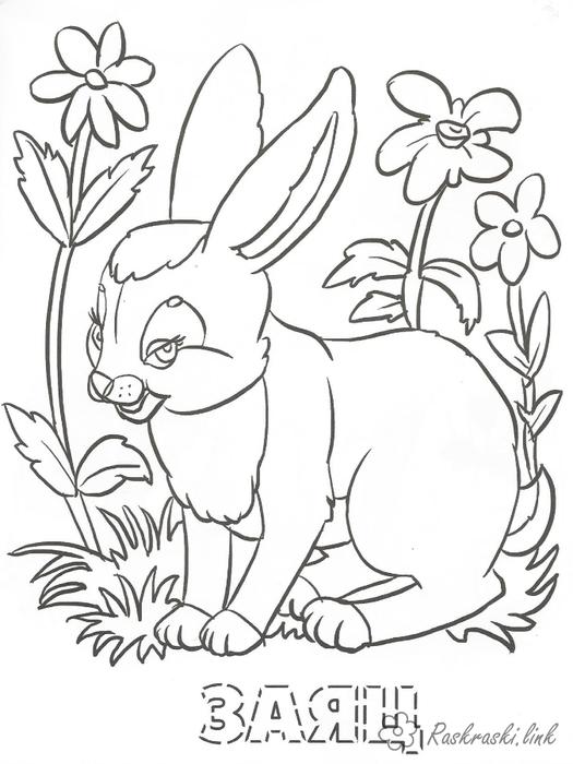 Розмальовки дітей Розмальовки для дітей, заєць, ліс, тварини