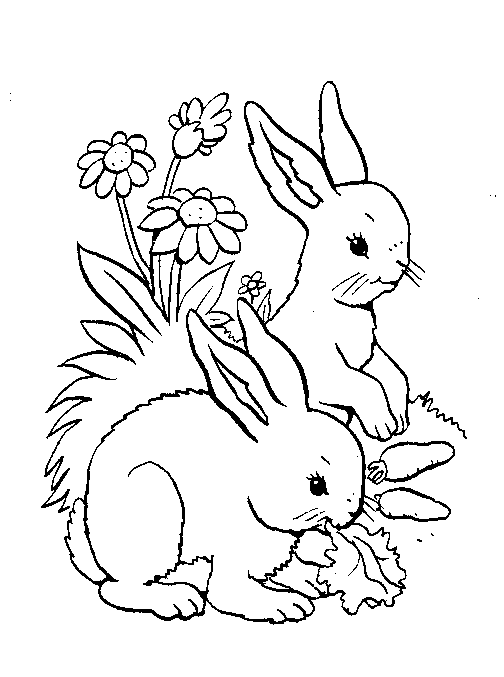 Розмальовки природа розфарбування, для дітей, два зайці