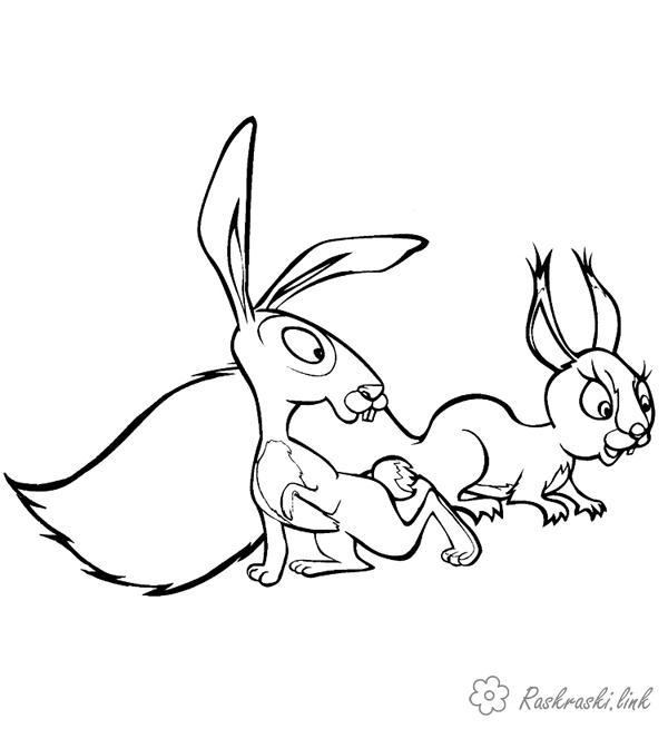 Розмальовки заєць розфарбування для дітей, заєць і білка, звірята, лісові
