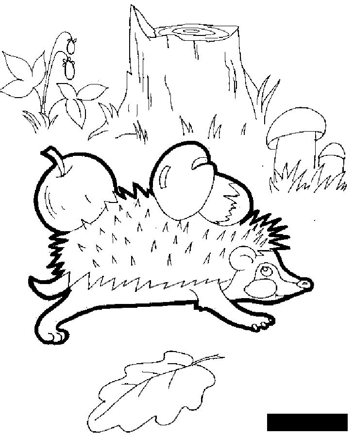 Розмальовки Лісові тварини розмальовки для дітей, їжачок несе їжу, ліс