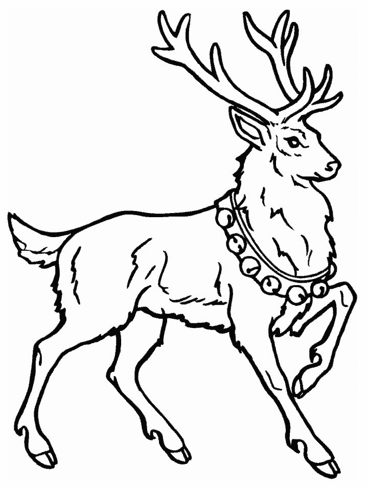 Розмальовки тварини розмальовки дикий олень