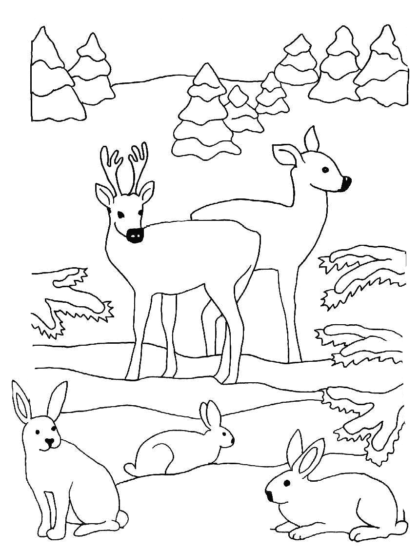 Розмальовки природа розфарбування для дітей, олені, зайці, тварини