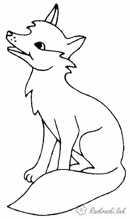 Розмальовки Лісові тварини розмальовки для дітей, тварини, лисеня