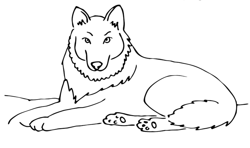 Розмальовки вовк розфарбування для дітей вовк