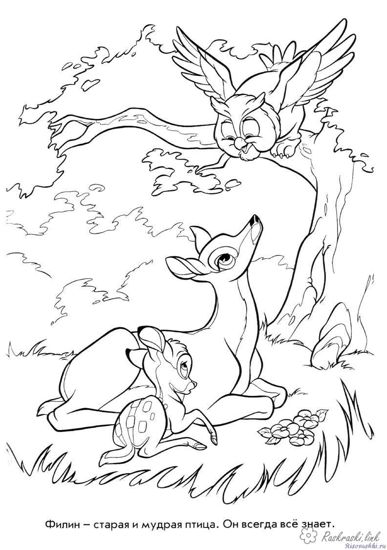 Розмальовки лісові розфарбування оленята і сова
