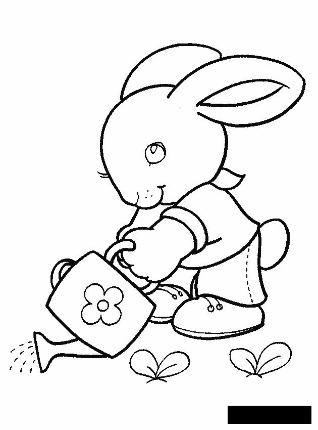Розмальовки дикі розмальовки для дітей, тварини, заєць, дикі
