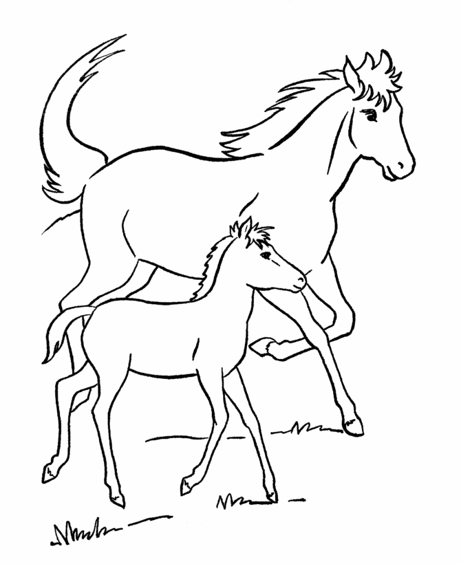 Розмальовки дітей розмальовки для дітей, звірі, коні на природі