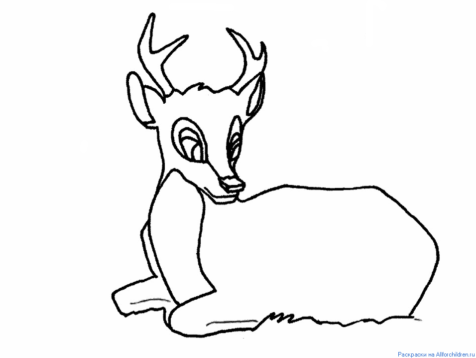 Розмальовки оленятко розмальовки для дітей, тварини, лісові, травоїдні
