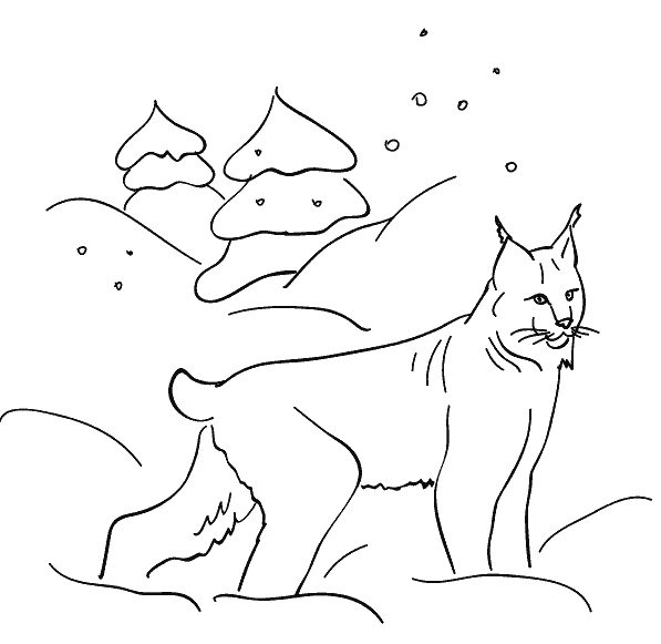 Розмальовки взимку розмальовки лісові тварини для дітей, рись, сніг, зима