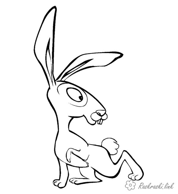 Розмальовки звірі розфарбування для дітей, заєць, тварини, звірі
