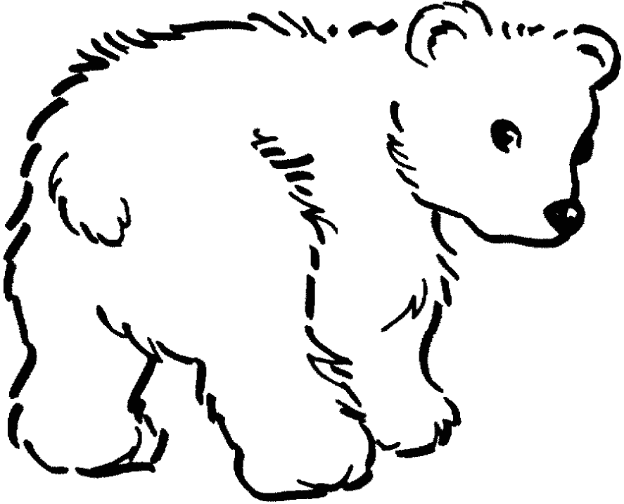 Розмальовки ведмежа маленький ведмедик