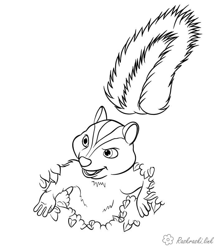 Розмальовки тварини розмальовки для дітей, білки, кущі, лісові тварини