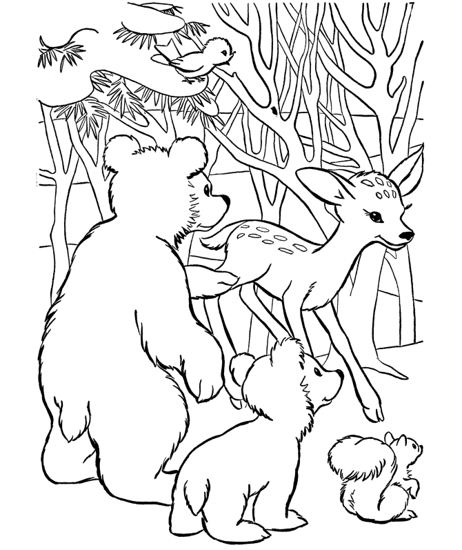Розмальовки природа розфарбування для дітей, лісові тварини, ведмеді, білки, олені
