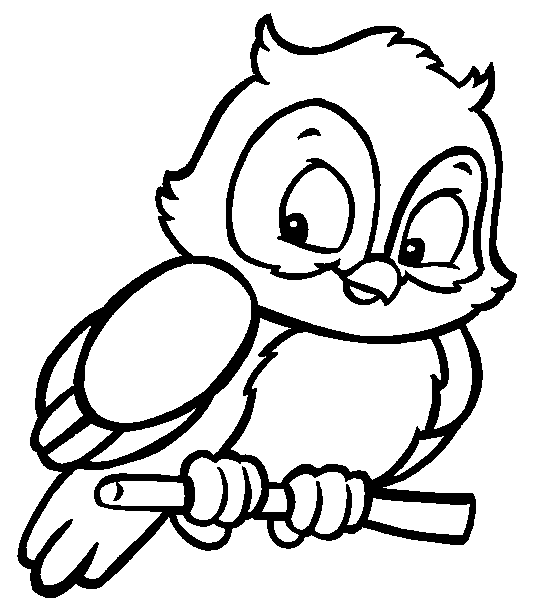 Розмальовки тварини Розмальовки для дітей сова