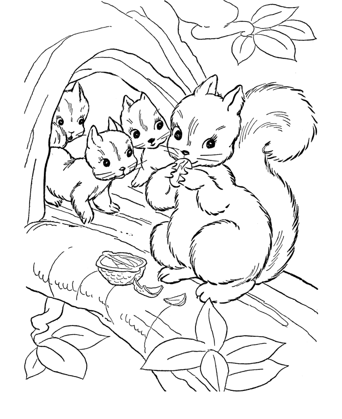Розмальовки тварини розмальовки для дітей, білка і більчата