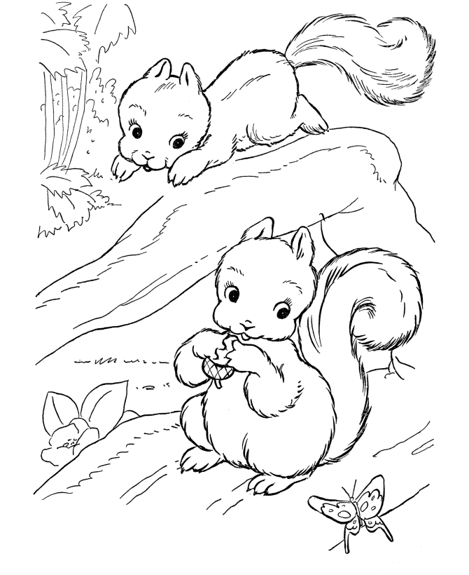 Розмальовки дерево розмальовки для дітей лісові звірі