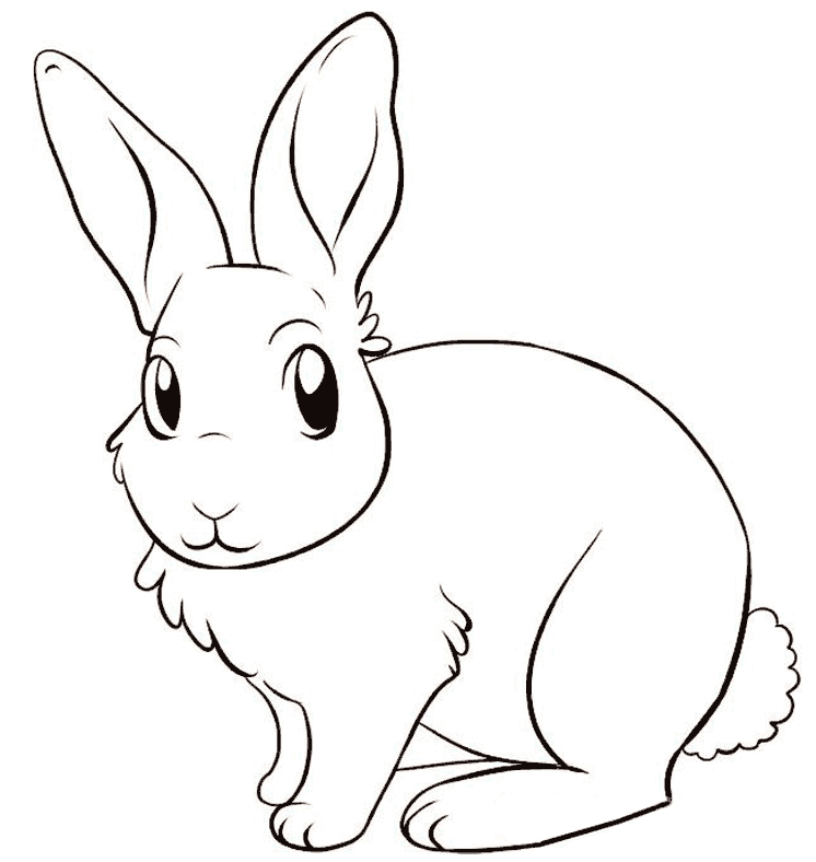 Розмальовки Лісові тварини заєць, природа, лісові тварини