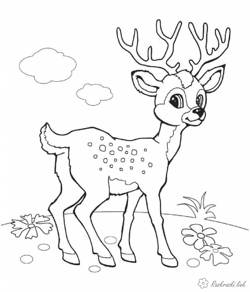 Раскраски Лесные животные раскраски для детей, олененок, пятнистый, лес