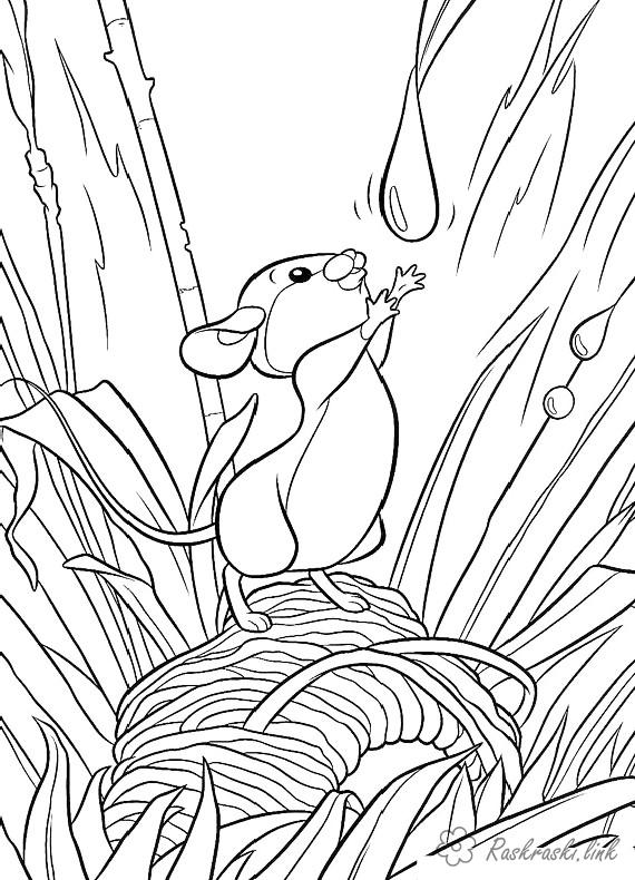 Розмальовки Лісові тварини розфарбування мишеня п'є воду, лісові тварини