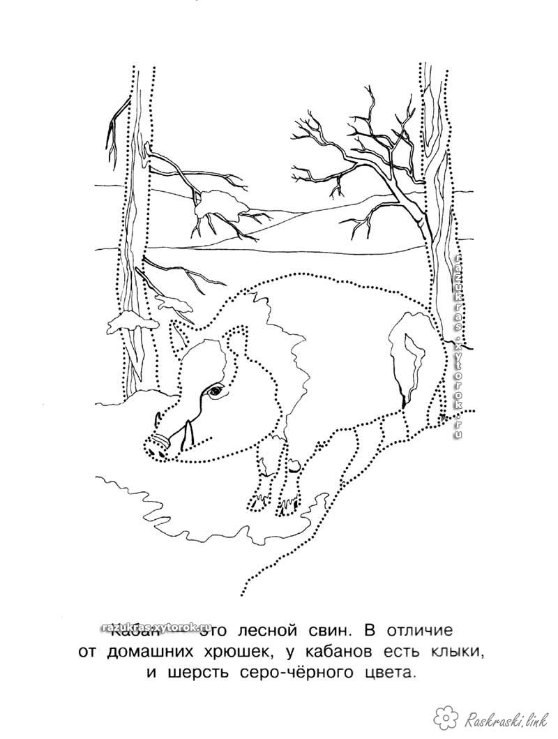 Розмальовки тварини великий пухнастий кабан, розфарбування для дітей, тварини, ліс, дерева