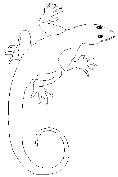 Розмальовки дітей розфарбування ящірка