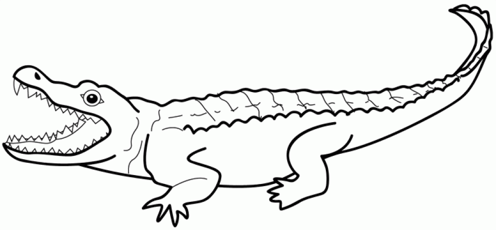 Розмальовки рептилії великий крокодил