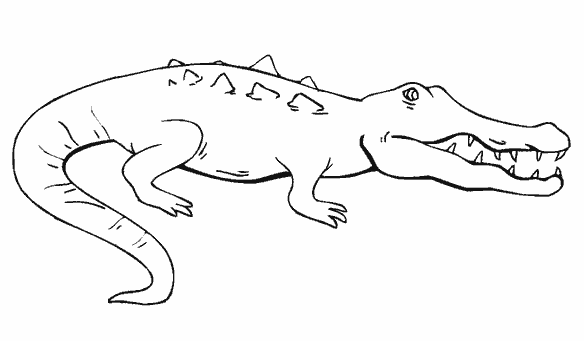 Розмальовки природа розмальовки для дітей, природа, рептилії, крокодил
